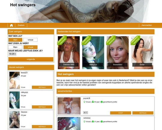 Hot swingers Logo